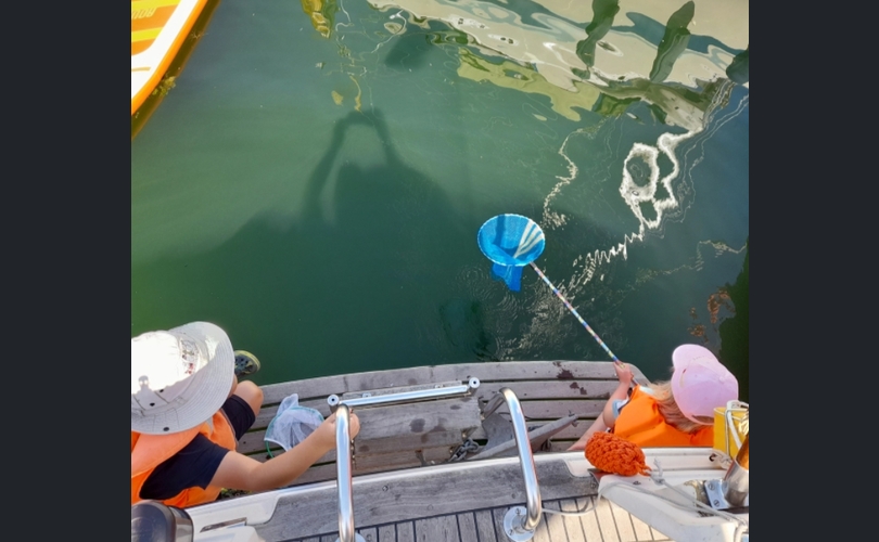 Storebro Royal cruiser 31 biscay-kuva-11